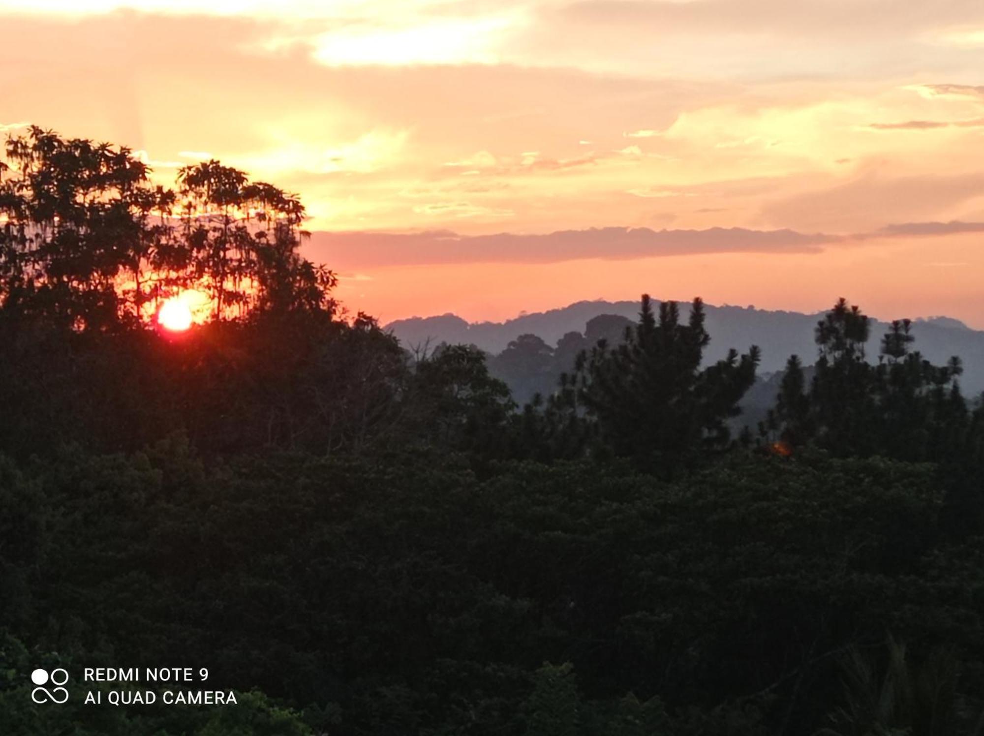 Villa Forest View - No: 50/17 Kandy Bagian luar foto