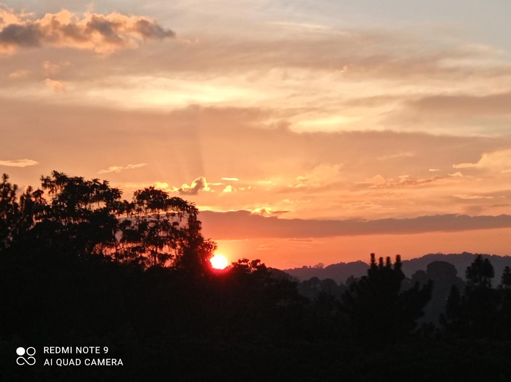 Villa Forest View - No: 50/17 Kandy Bagian luar foto