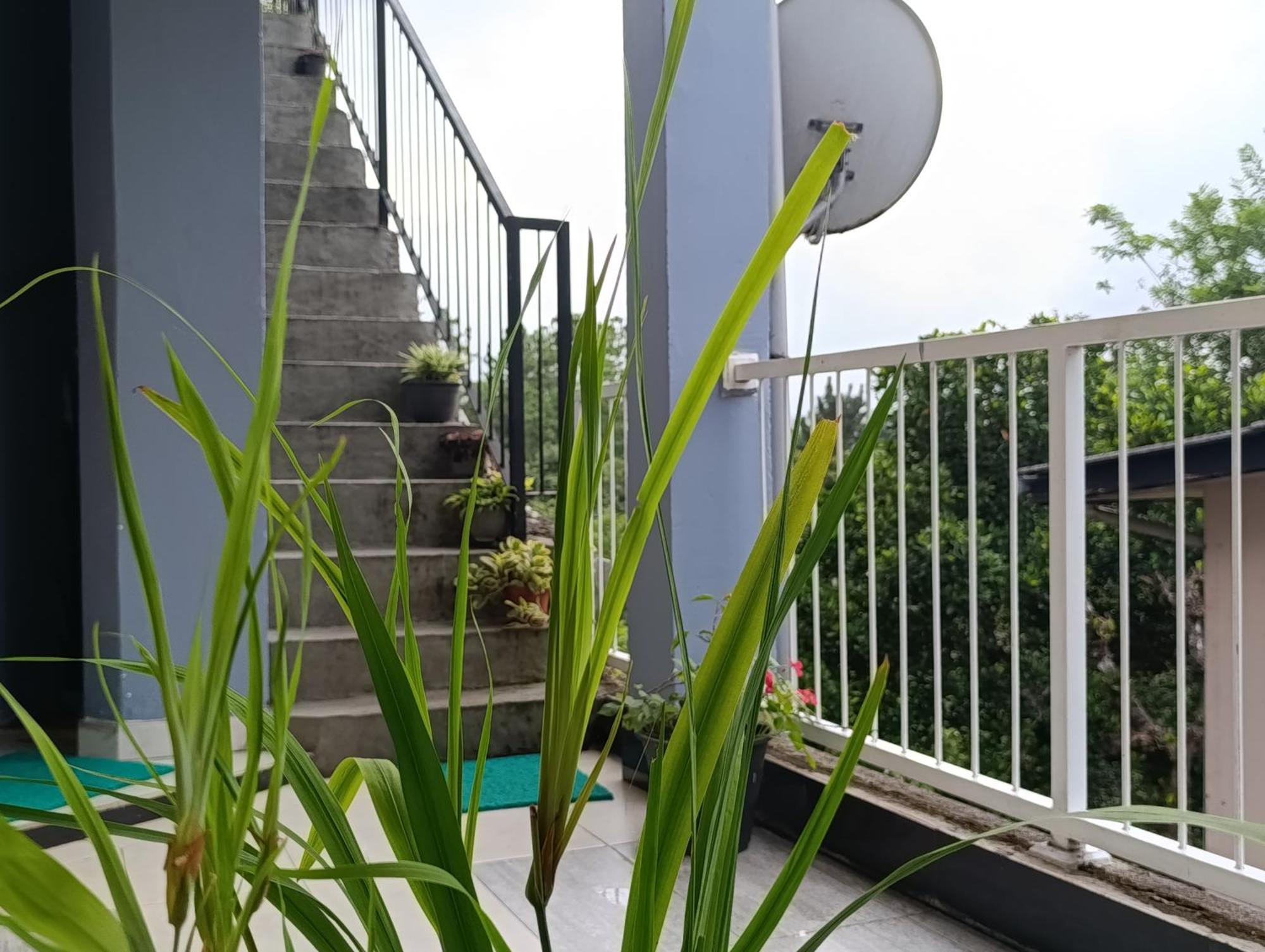 Villa Forest View - No: 50/17 Kandy Bagian luar foto